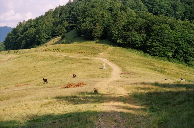 Podkarpatská Rus 2006 - přechod poloniny Boržava - 105