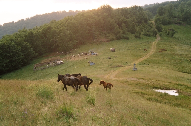 Podkarpatská Rus 2006 - přechod poloniny Boržava - 109