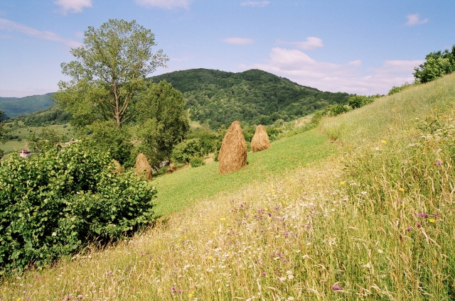 Podkarpatská Rus 2006 - přechod poloniny Boržava - 11