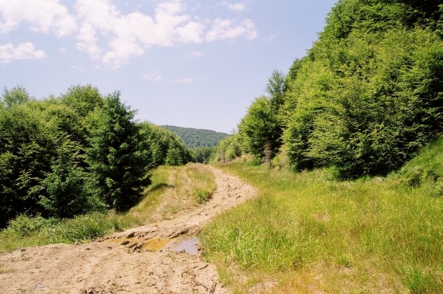 Podkarpatská Rus 2006 - přechod poloniny Boržava - 119