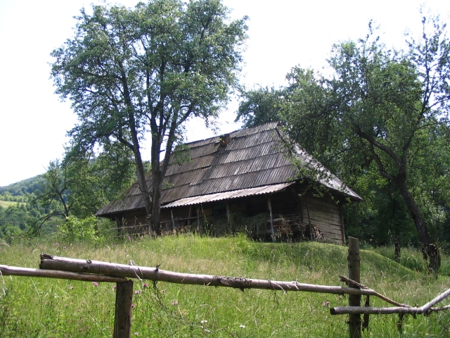 Podkarpatská Rus 2006 - přechod poloniny Boržava - 127