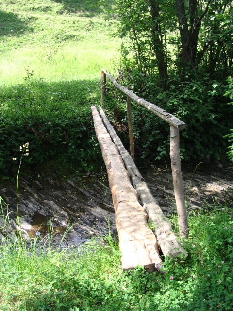 Podkarpatská Rus 2006 - přechod poloniny Boržava - 128