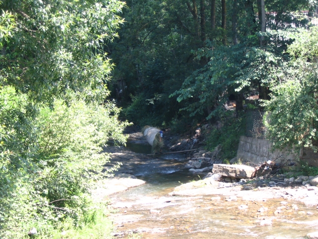 Podkarpatská Rus 2006 - přechod poloniny Boržava - 147