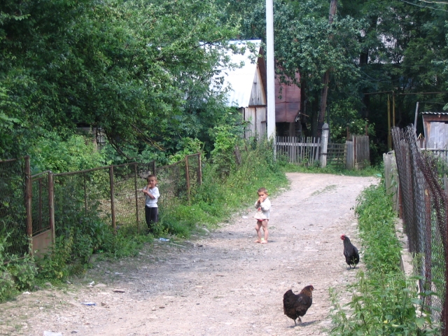 Podkarpatská Rus 2006 - přechod poloniny Boržava - 148