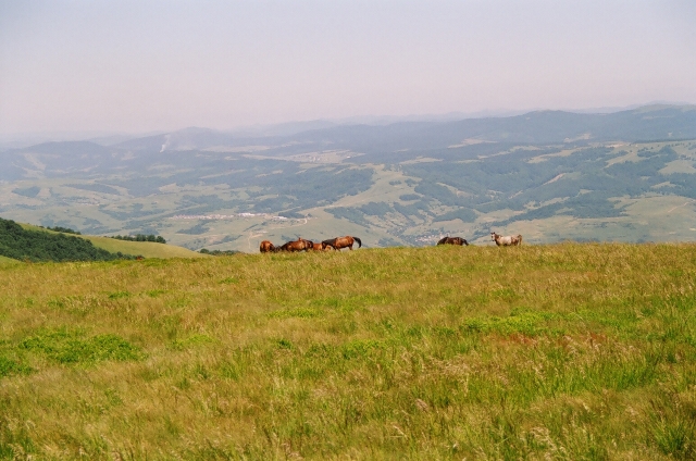 Podkarpatská Rus 2006 - přechod poloniny Boržava - 46