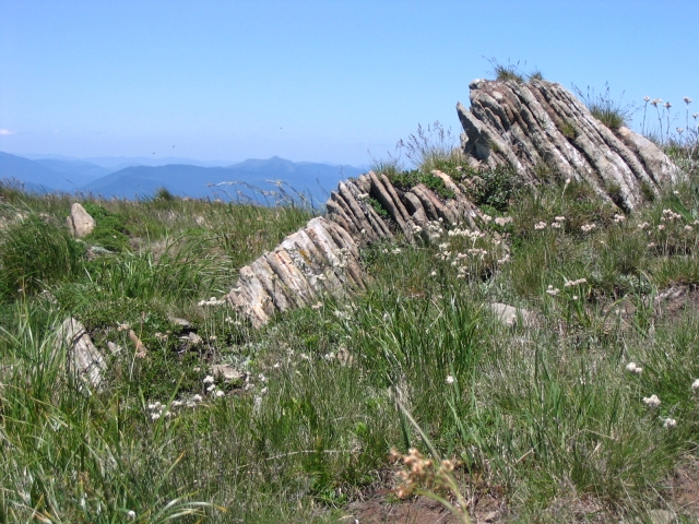 Podkarpatská Rus 2006 - přechod poloniny Boržava - 54